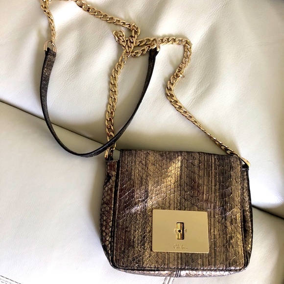 Cole Haan Cross Body Bag, Snakeskin with chain shoulder strap! - Picture 2 of 16